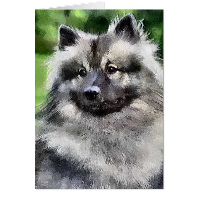 Cadeaux d'art Keeshond (Devant)
