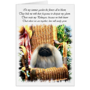 Cadeaux d'art Pekingese