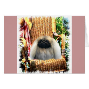 Cadeaux d'art Pekingese