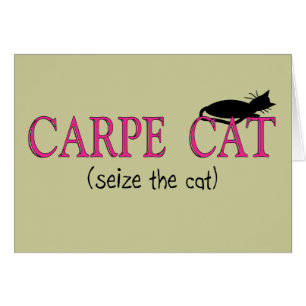 Cadeaux de chat de Carpe (saisissez le chat)