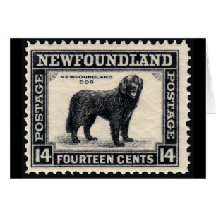 Cadeaux de chien de Terre-Neuve