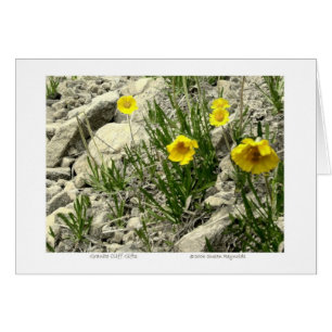 Cadeaux de falaises de granit