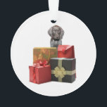 Cadeaux de Noël Pointer Puppy<br><div class="desc">Tout ce que je veux pour Noël est un chien Pointer Allemand à poil court ! Surprenez tous les amoureux de cette race avec un cadeau unique mettant en vedette leur race préférée !</div>