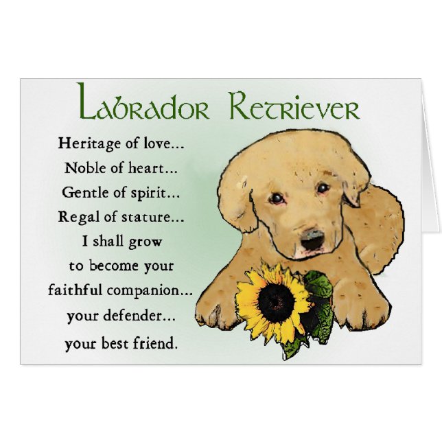 Cadeaux du Labrador Retriever (Devant horizontal)