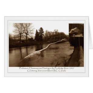 Cadeaux Elasmosaurus