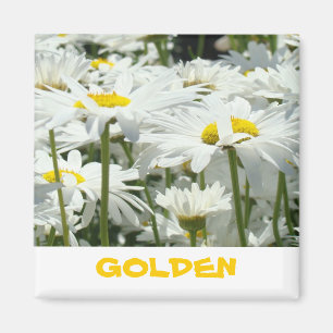 Cadeaux GOLDEN magnet Blanc Fleurs de marguerite F