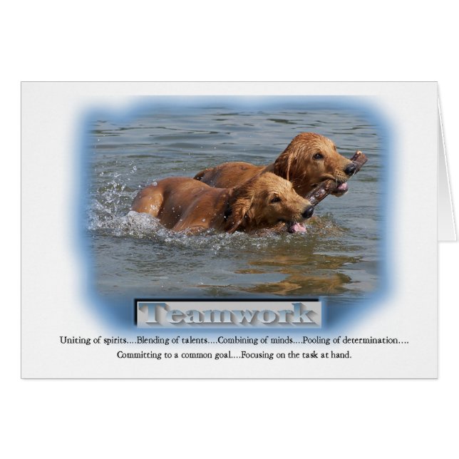 Cadeaux Golden Retriever (Devant horizontal)