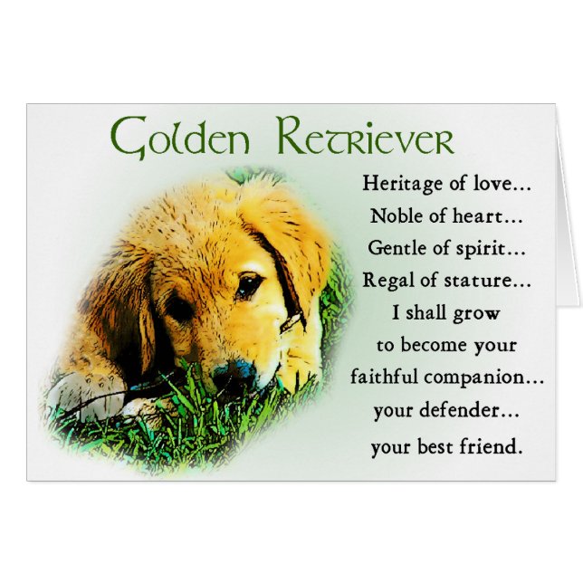 Cadeaux Golden Retriever (Devant horizontal)