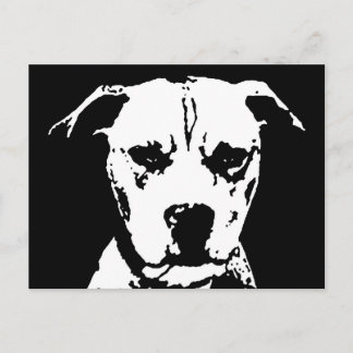 Cadeaux Pitbull - Carte postale