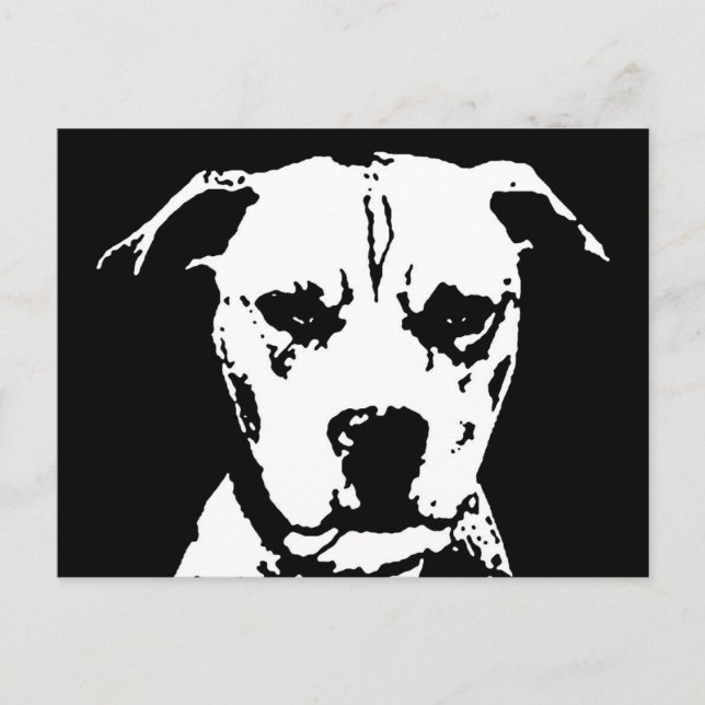 Cadeaux Pitbull - Carte postale (Devant)