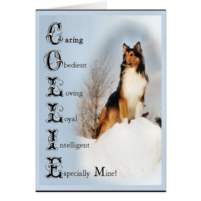 Cadeaux Sable Rough Collie (Devant)