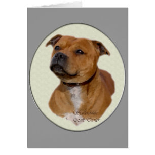 Cadeaux Staffordshire Bull Terrier