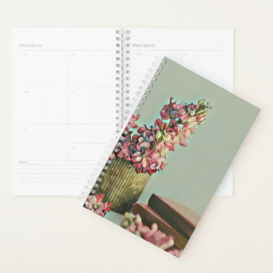 Cadeaux uniques pour bibliothécaire