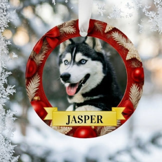 Cadre festif personnalisé pour photo de chien à No