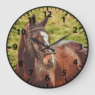 Cadre photo de cheval horloge personnalisable chev