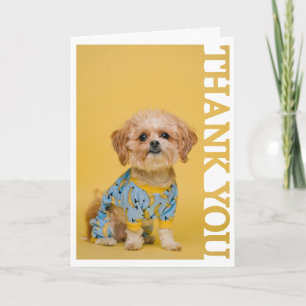Cadre photo vétérinaire d'adoption d'animaux Merci