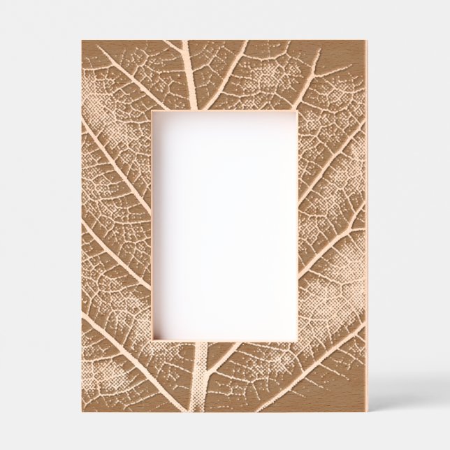 Cadres Gravés Feuille lumineuse noir et blanc en gros plan (Recto)