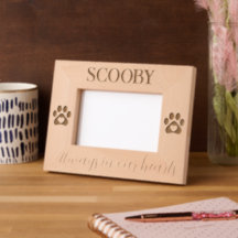 Mémorial pour animaux