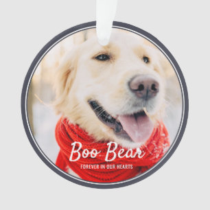Cadres modernes Pet Memorial Photo simple