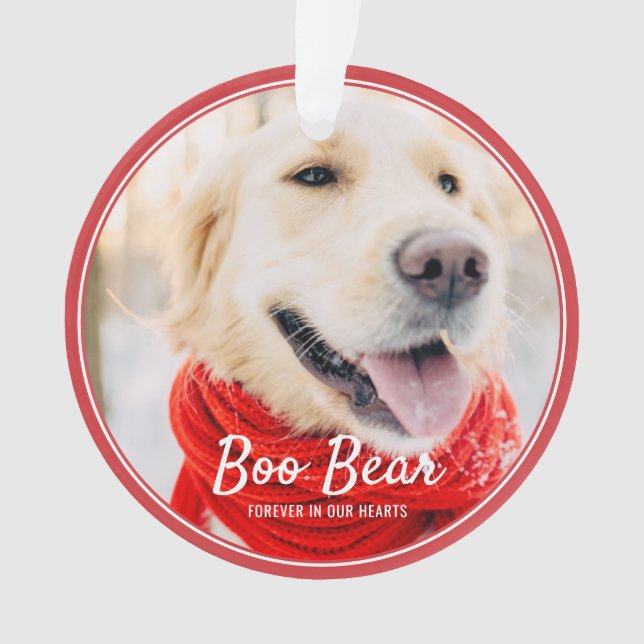 Cadres modernes Pet Memorial Photo simple (devant)