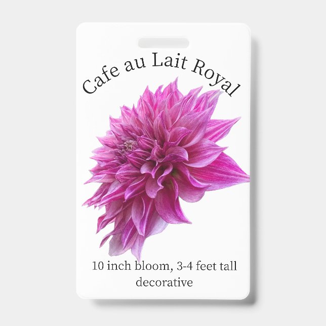 Cafe au Lait Royal Dahlia ID Badge (Avant)