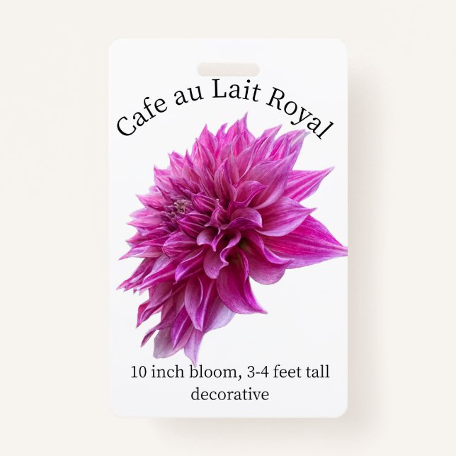 Cafe au Lait Royal Dahlia ID Badge (Devant)