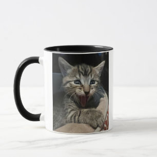 Café du matin. Humour félin. Mug à café chat.