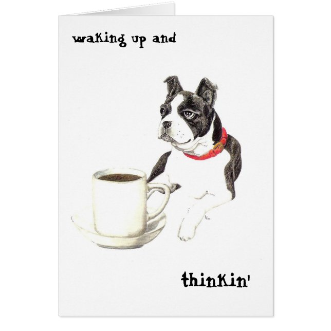 Caféine de Boston (Devant)