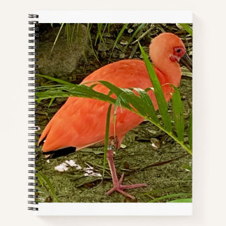 cahier