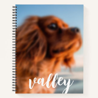 Cahier à reliure spirale