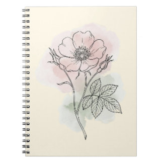 Cahier à reliure spirale avec croquis aquarellé de