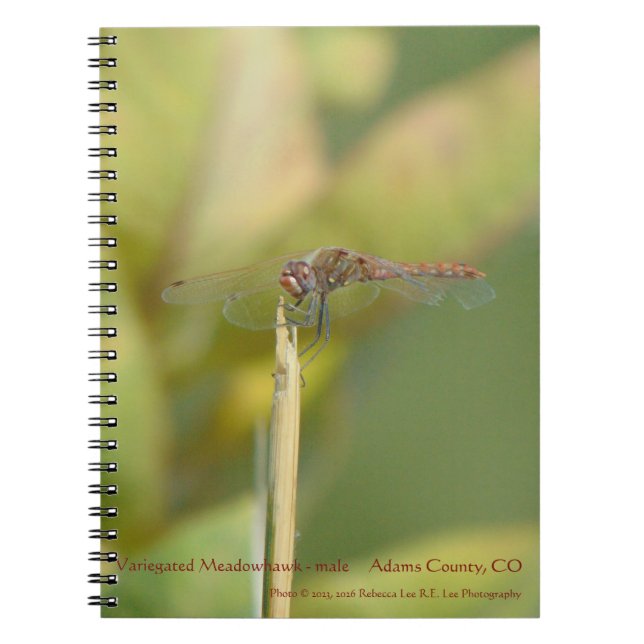 Cahier à reliure spirale avec photo de libellule (Devant)