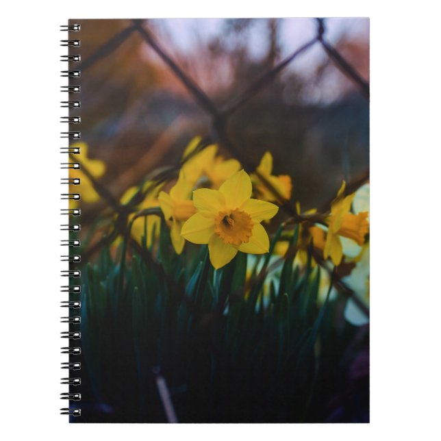 Cahier à reliure spirale de photo d'art fin de jon (Devant)