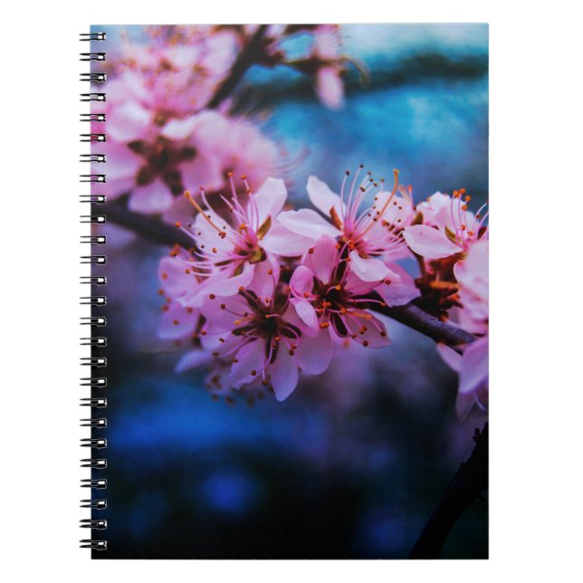 Cahier à reliure spirale de photographie d'art fin (Devant)