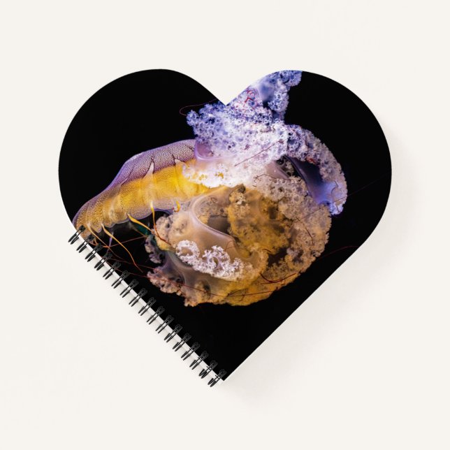 Cahier à reliure spirale en forme de cœur (Devant)