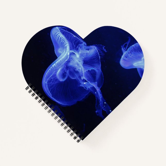 Cahier à reliure spirale en forme de cœur (Devant)