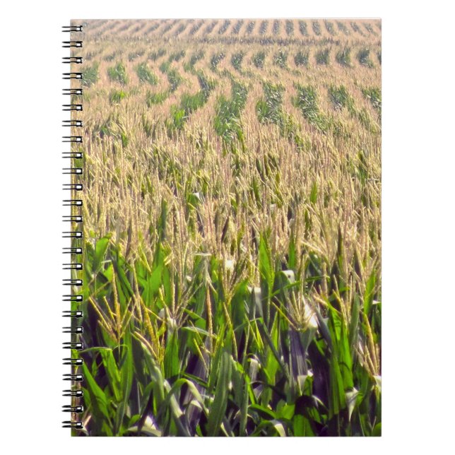 Cahier à reliure spirale Lignes sans fin de maïs (Devant)