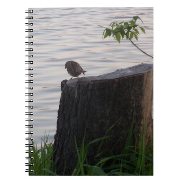 Cahier à reliure spirale Oiseau sur une souche (Devant)