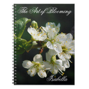 Cahier à reliure spirale Original White Plum Bloss
