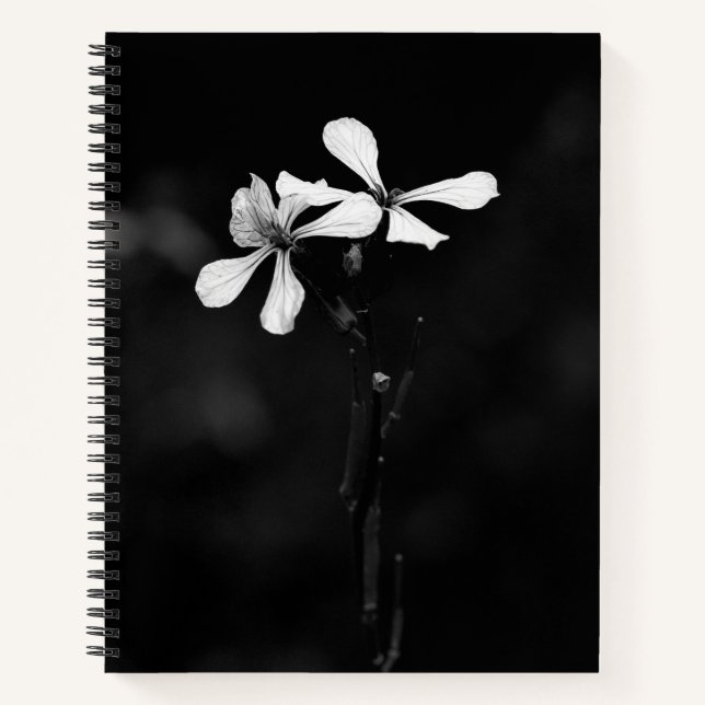 Cahier à spirale (Devant)
