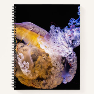 Cahier à spirale 21,59 cm x 27,94 cm