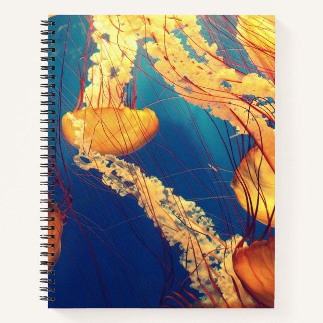 Cahier à spirale 21,59 cm x 27,94 cm (Devant)