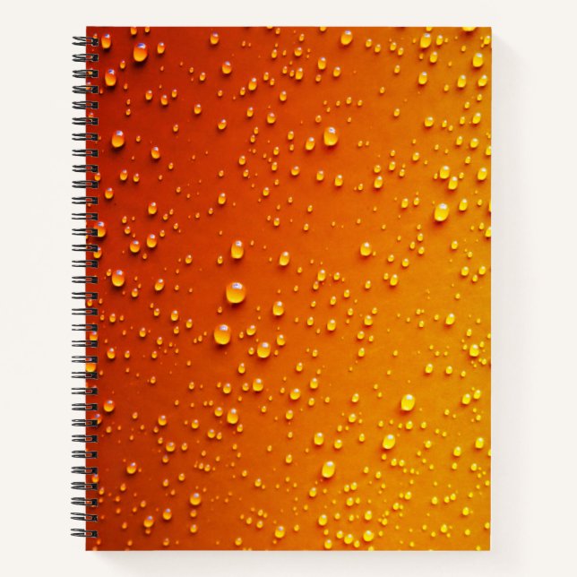 Cahier à spirale 21,59 cm x 27,94 cm (Devant)