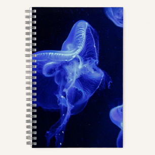 Cahier à spirale 5,5" x 8,5"