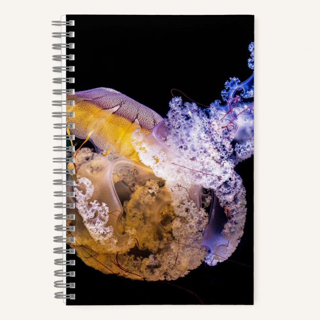 Cahier à spirale 5,5" x 8,5" (Recto)