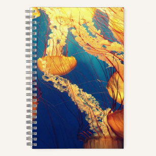 Cahier à spirale 5,5" x 8,5"