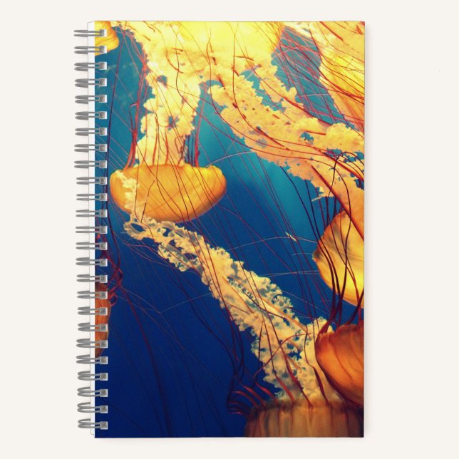 Cahier à spirale 5,5" x 8,5" (Recto)
