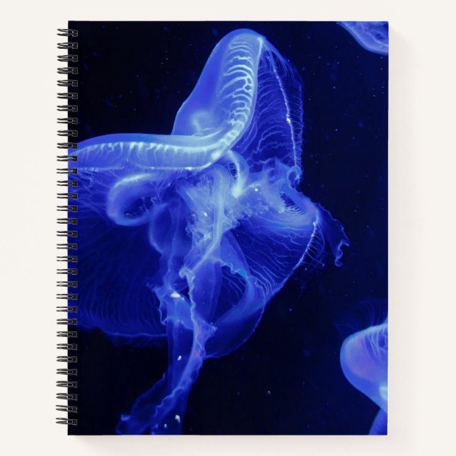 Cahier à spirale 8,5" x 11" (Devant)