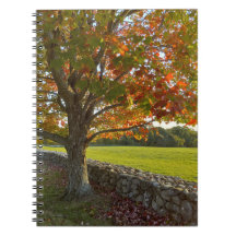 Cahier à spirale Automne à Stone Wall