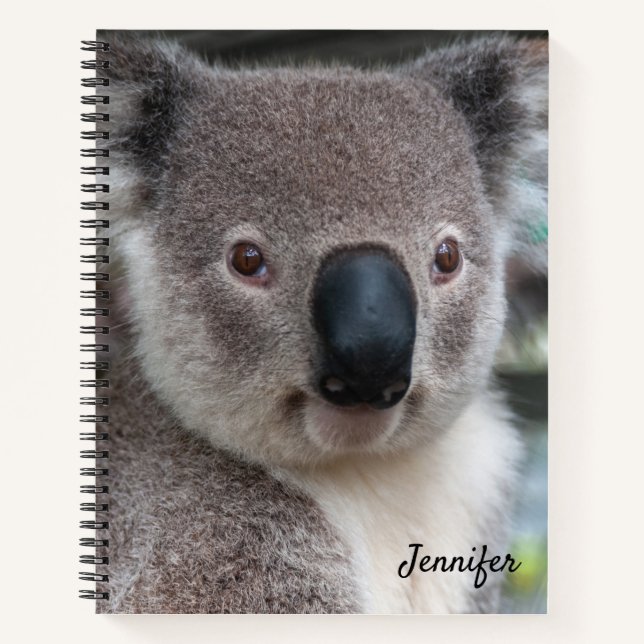 Cahier à spirale avec un ours koala mignon (Devant)